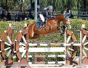Poltri Costanza Mia GioCav2013 S6 7438 : Campionati Italiani Giovani Cavalli, Cattolica, Costanza Mia, Poltri Romina, ph Stefano Secchi ©